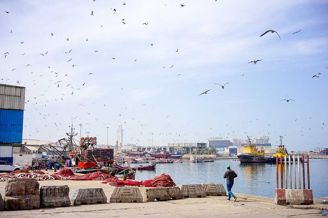La mosquée Hassan II vue du port de pêche, Casablanca