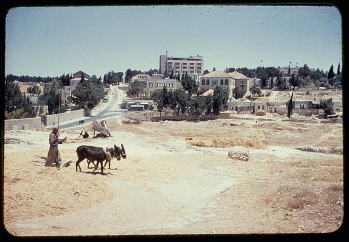 Le quartier de Cheikh Jarrah, Jérusalem-Est