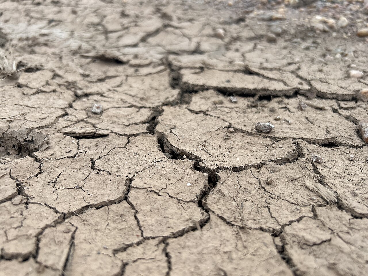 Terre craquelée par la sécheresse