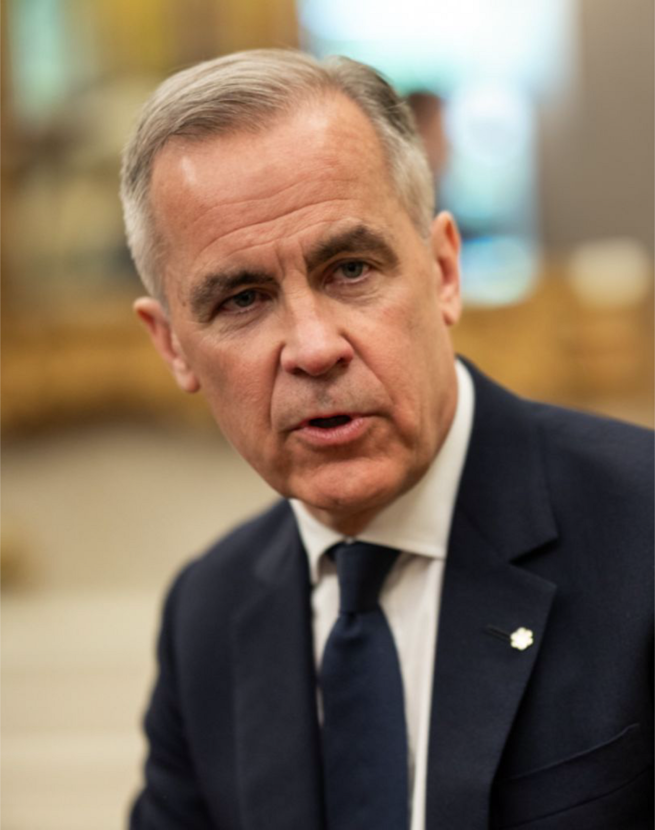 Mark Carney, Premier ministre du Canada