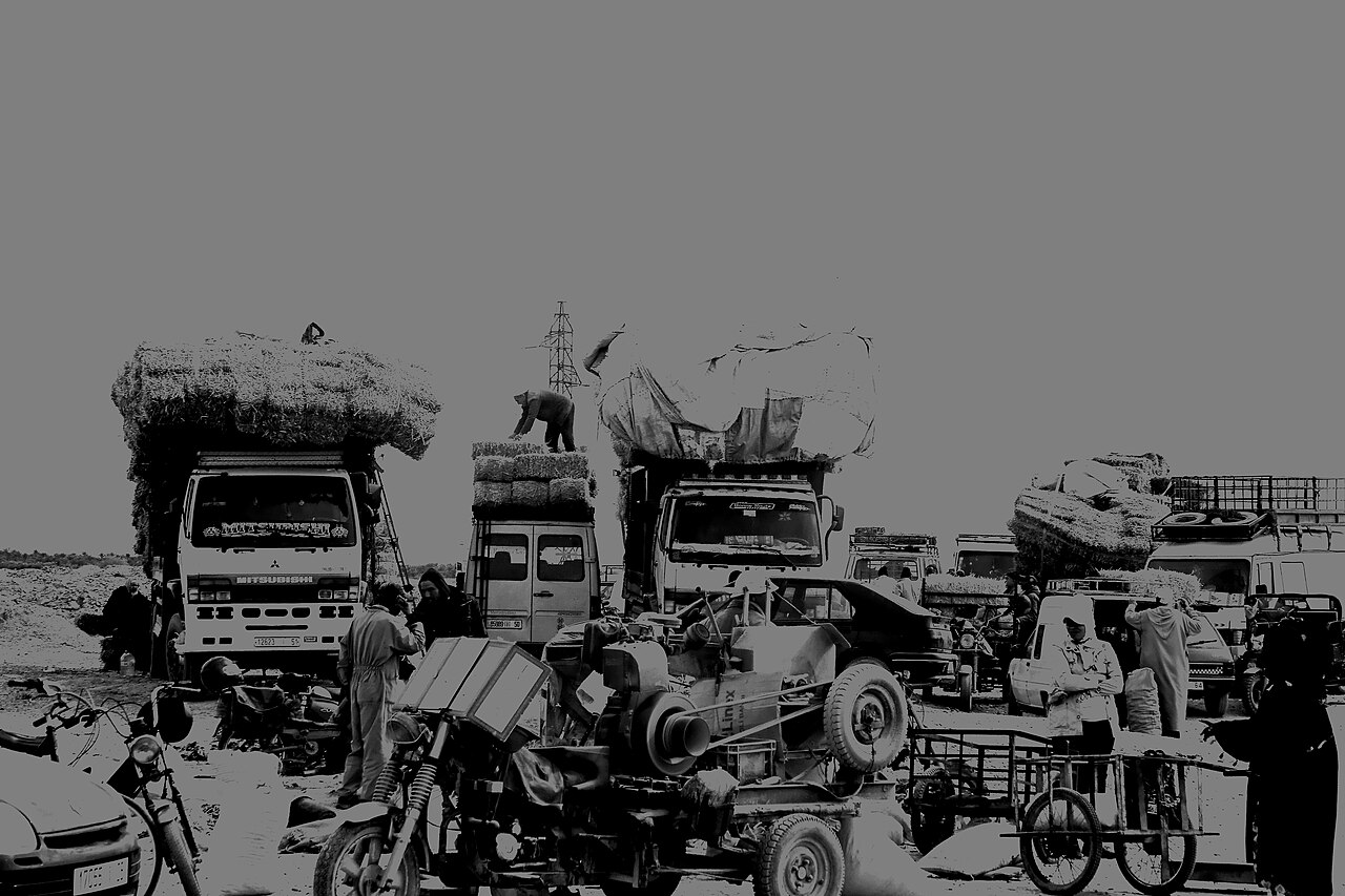 Jour de souk hebdomadaire à Goulmima, Maroc