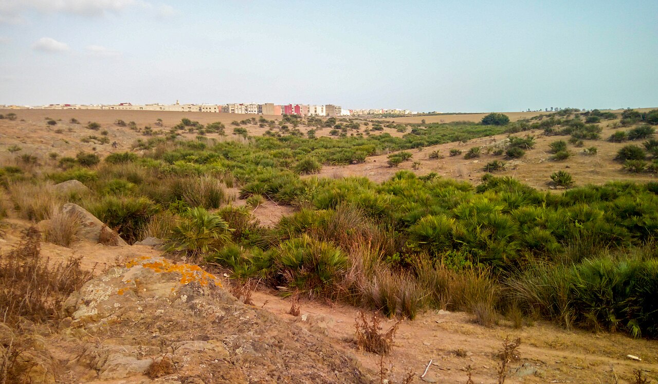 Vue de la ville de Bouznika depuis le sud