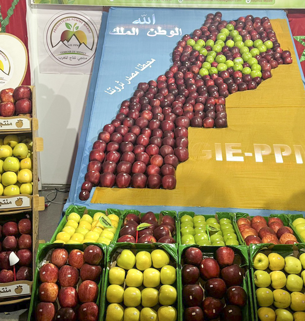 Salon national de la pomme à Midelt