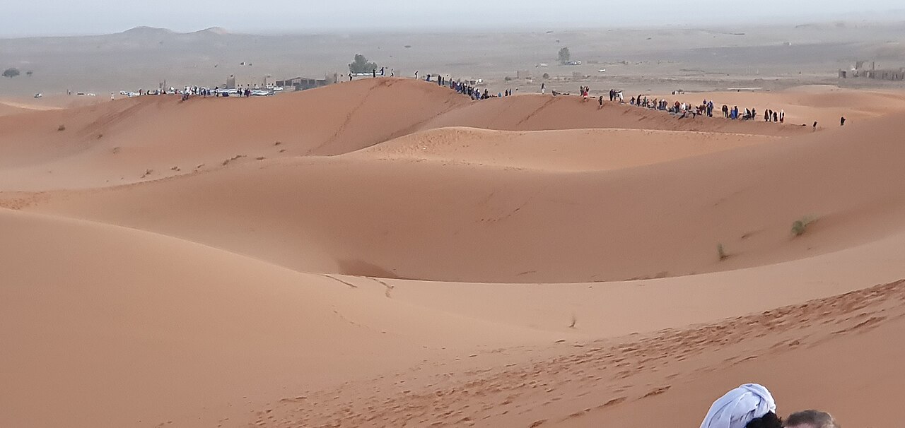 Les dunes du Sahara marocain