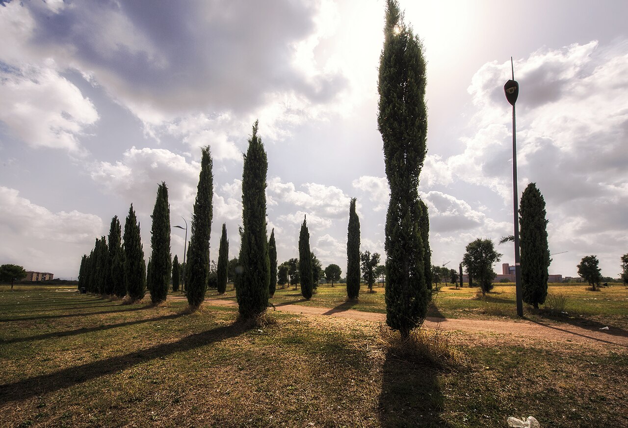 Le parc de Centocelle, dans l'est de Rome