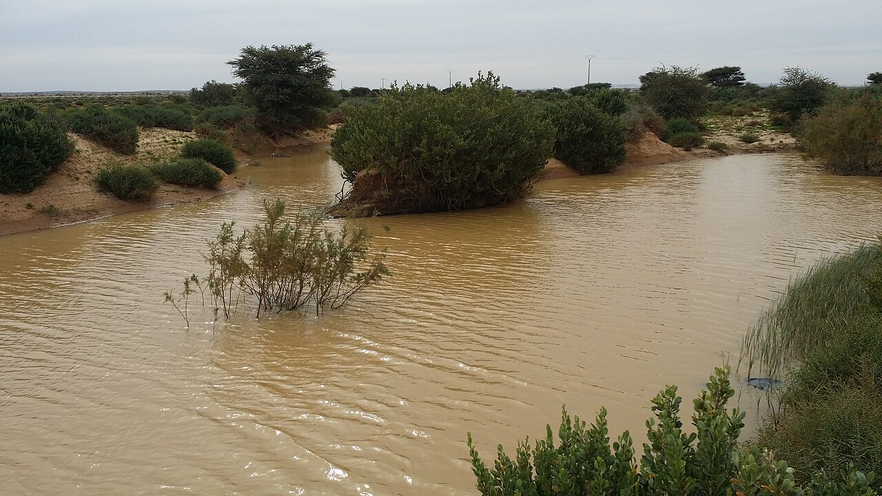 L'oued Saguia el Hamra près de Smara