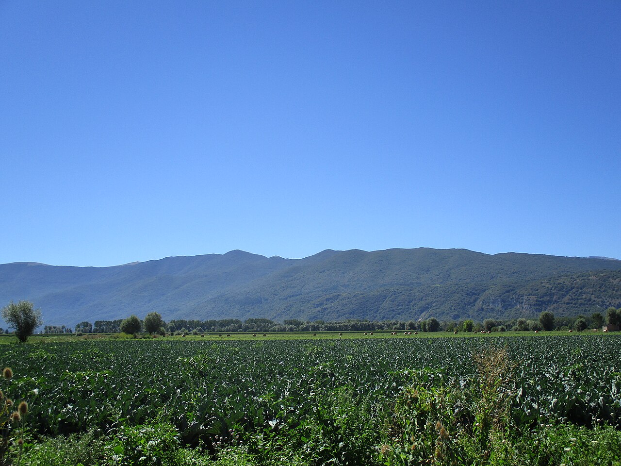 Champs cultivés de la plaine du Fucino, Abruzzes